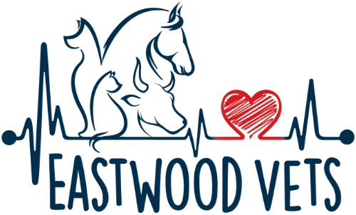 Eastwood Vets